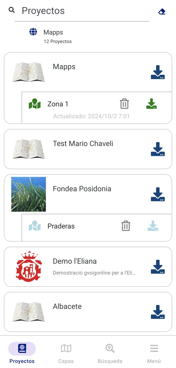 Figura 21: Visualización de proyectos en modo online.