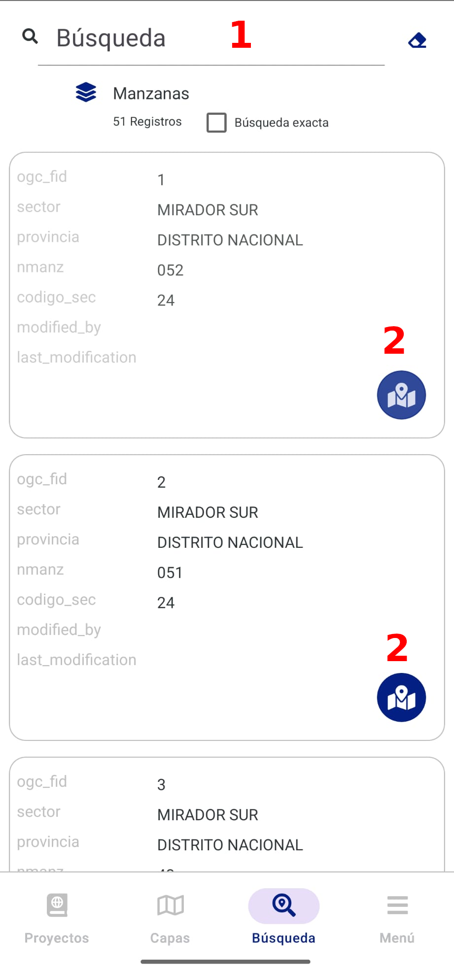 Figura 9: Búsqueda de elementos dentro de la capa seleccionada. 